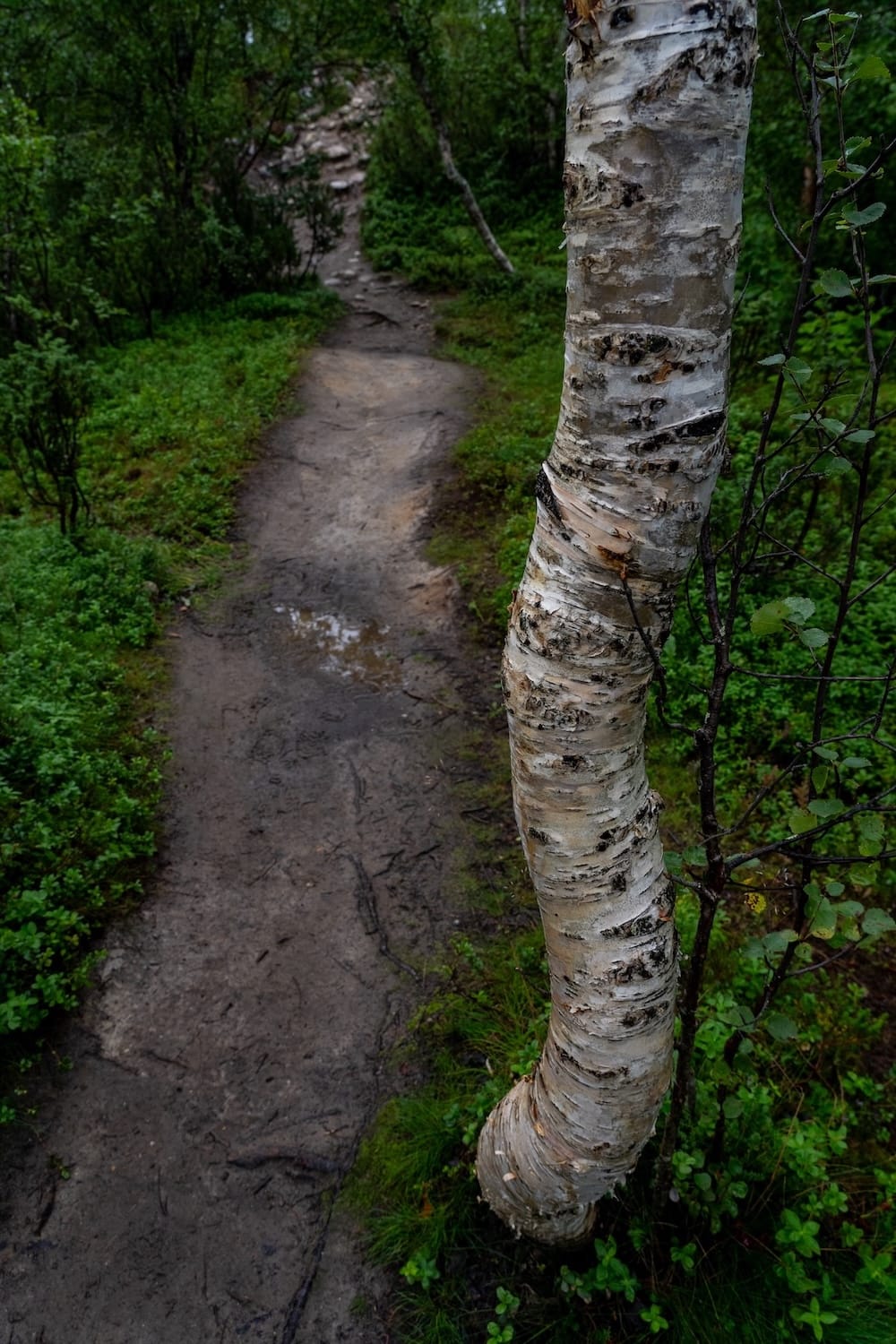 Silfar Canyon in Børselv, Norway-24