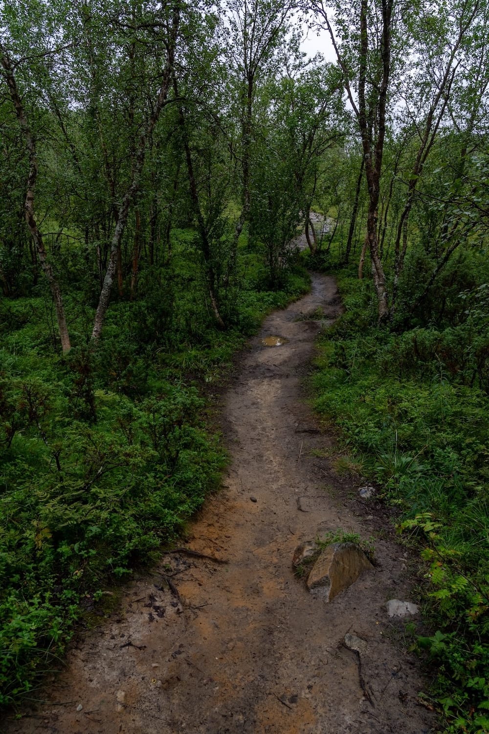 The trail to Silfar Canyon
