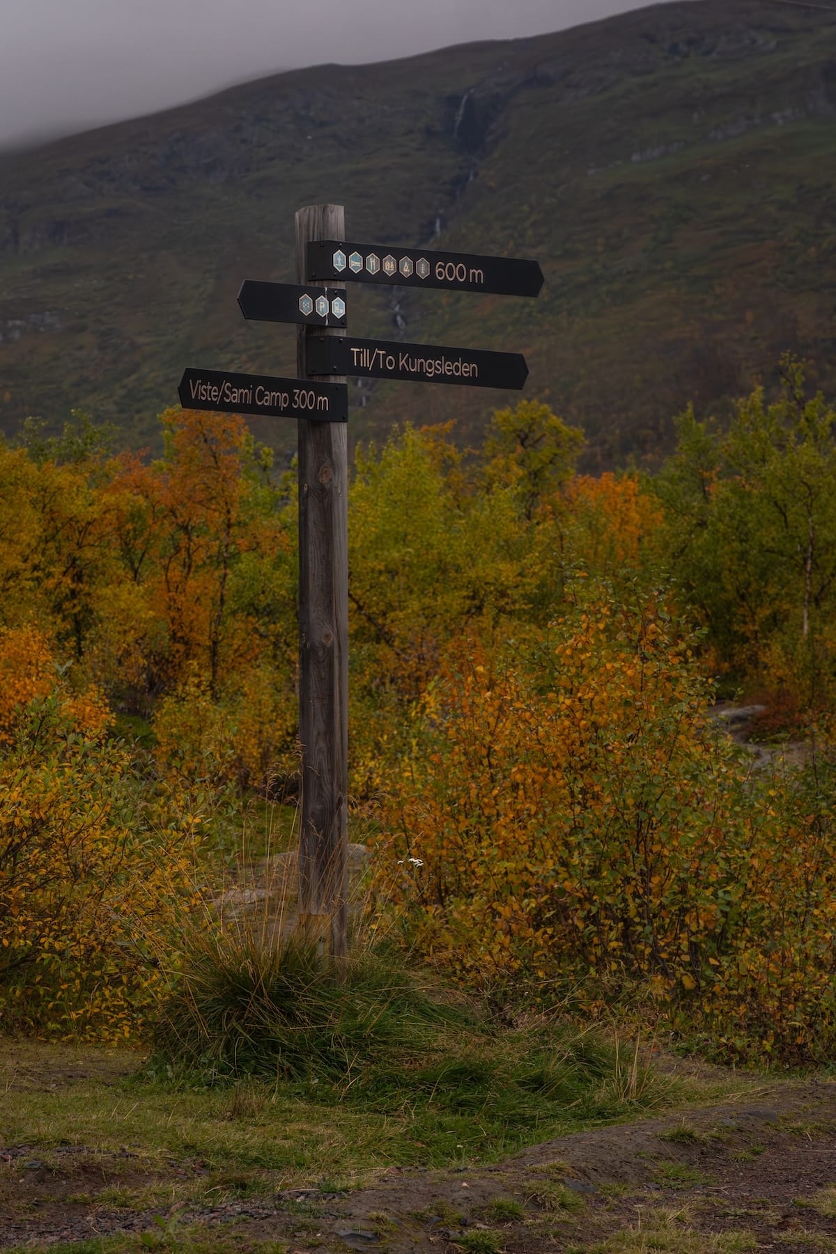 Abisko National Park 11-Enhanced-NR