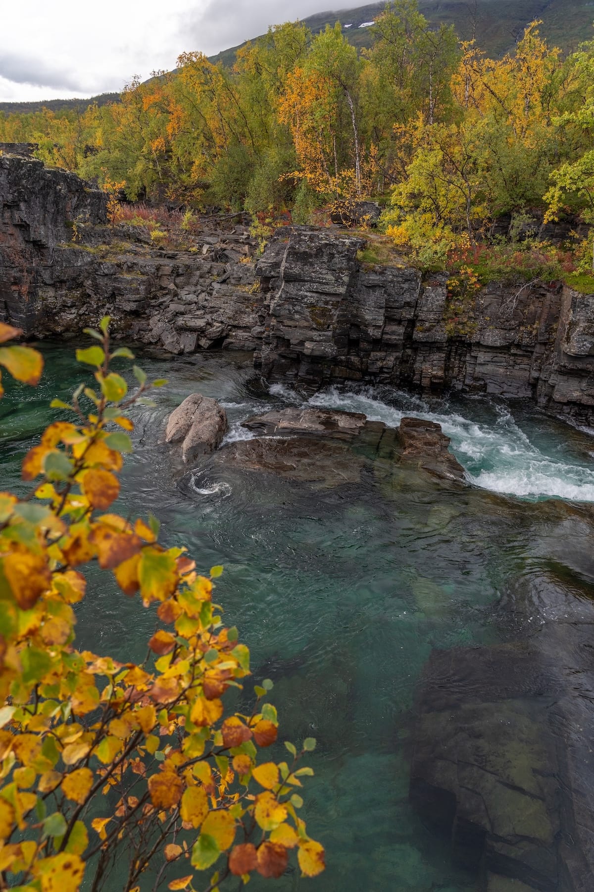 Peak autumn in Abisko