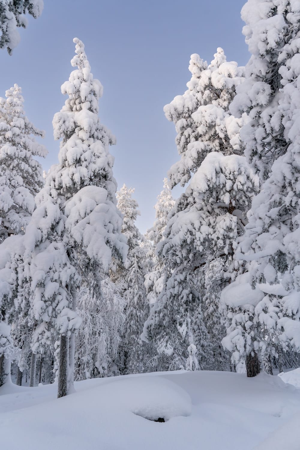 Rovaniemi in winter