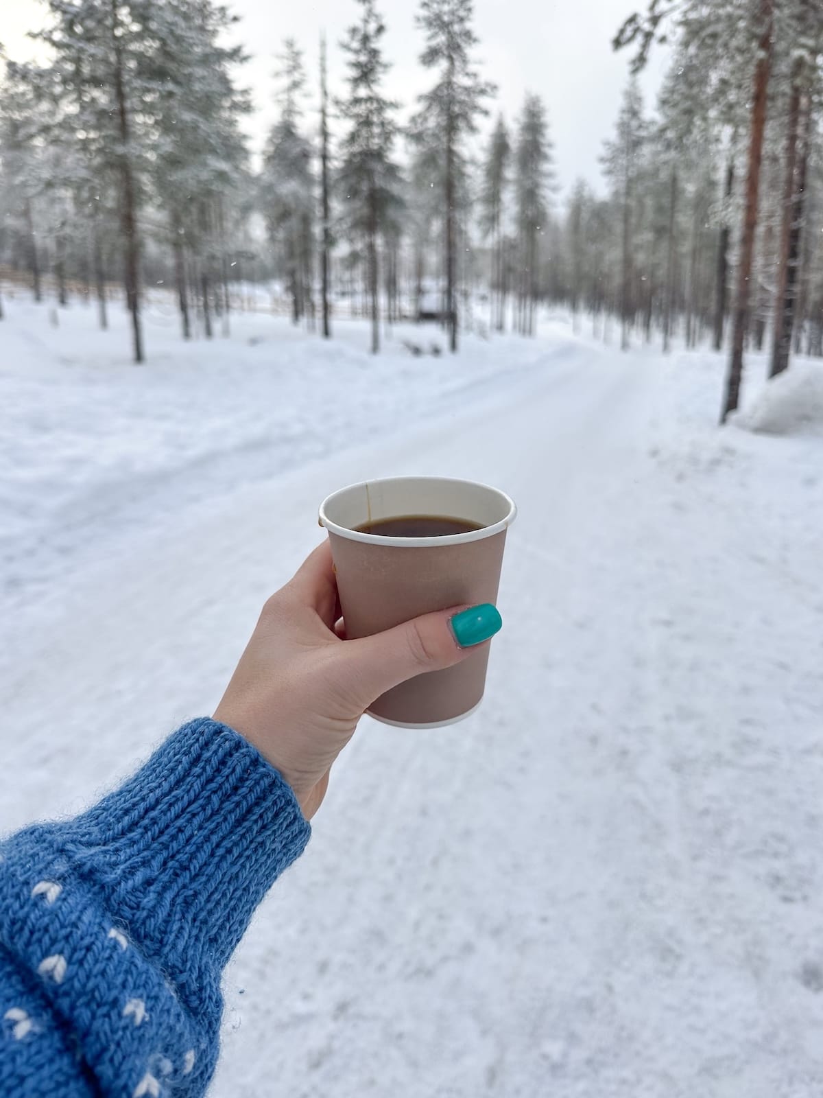 Kotatieva Resort in Rovaniemi-10