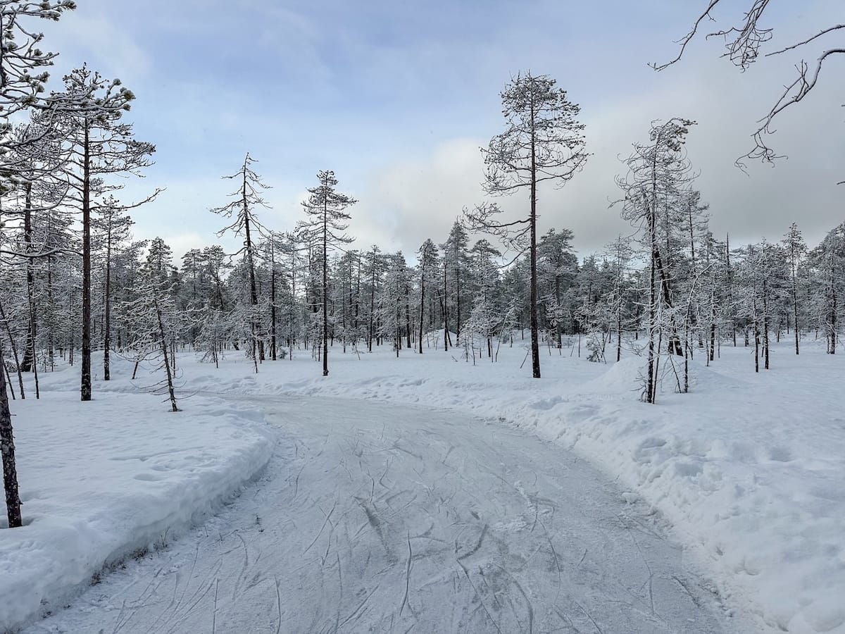 Ice skating at Kotatieva