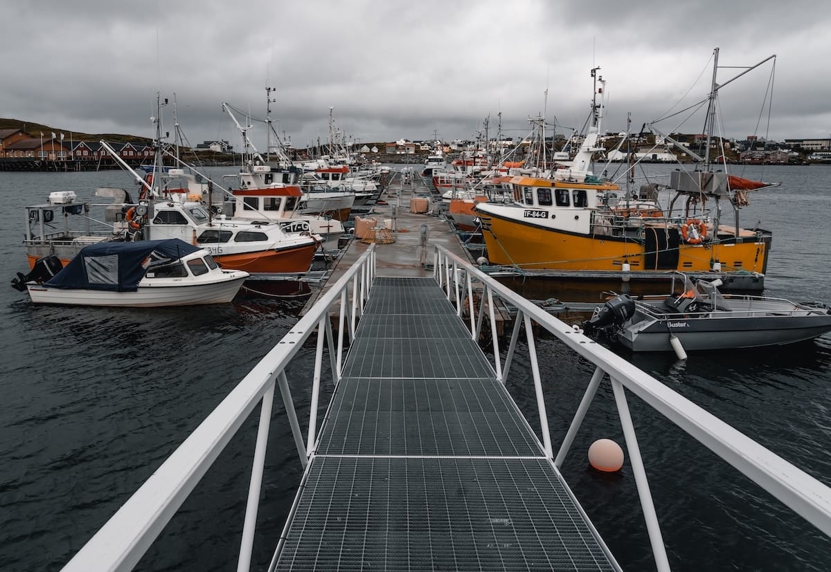 If you see a harbor like this, you know that the place has good seafood...