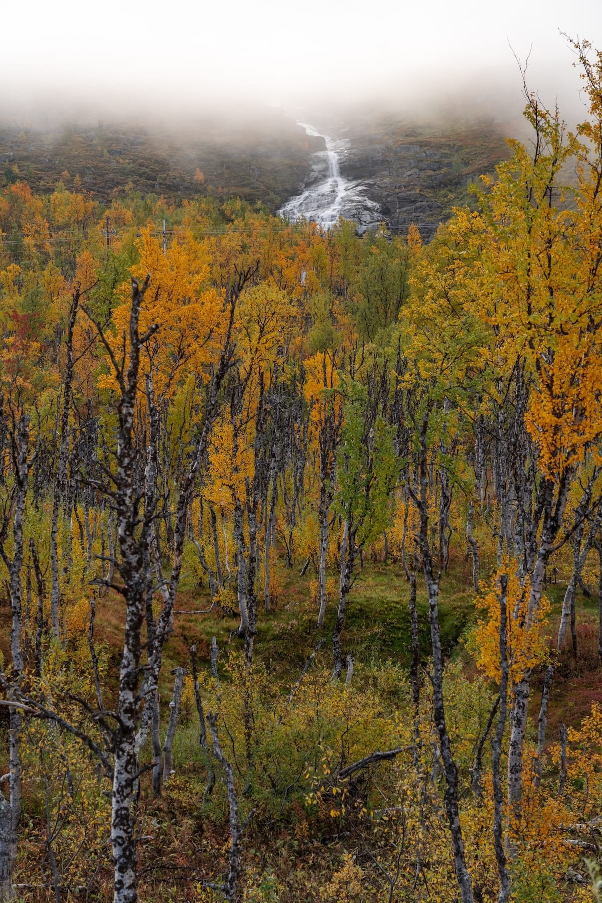 Near the Trollsjön hike parking lot