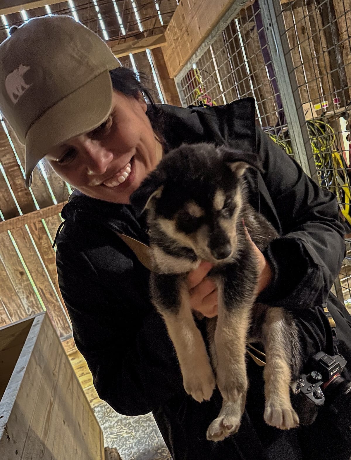 Hanging out at Pirate Husky in Norway