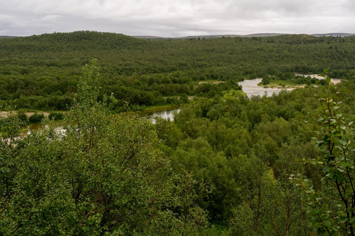 The area around Pirate Husky