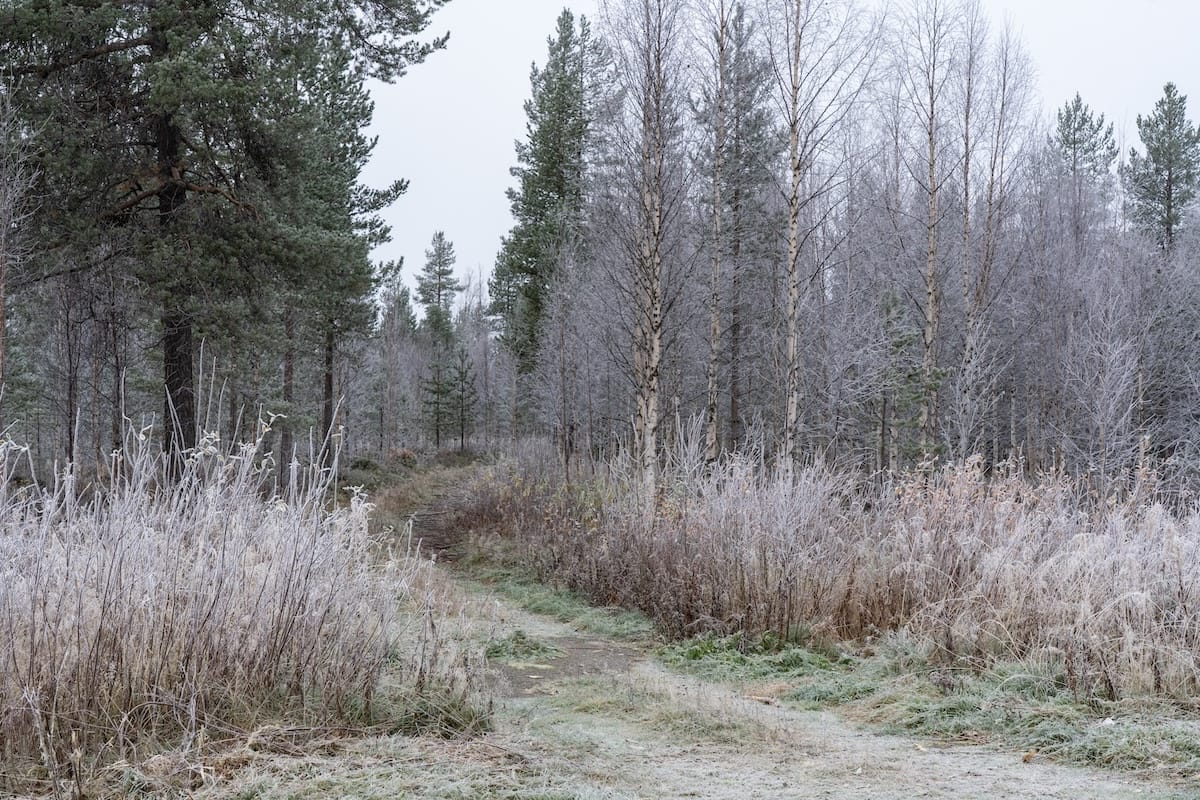 We definitely get frost though!