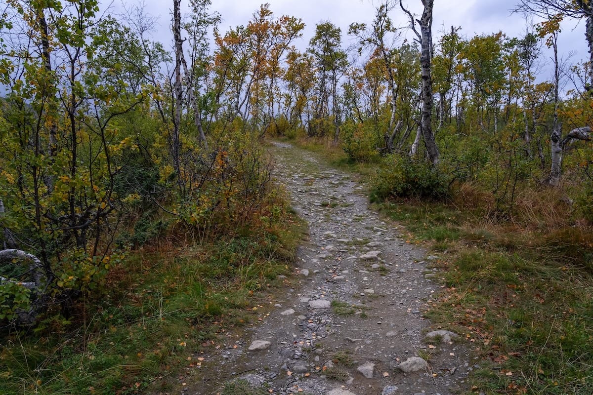 The trail is easy most of the way