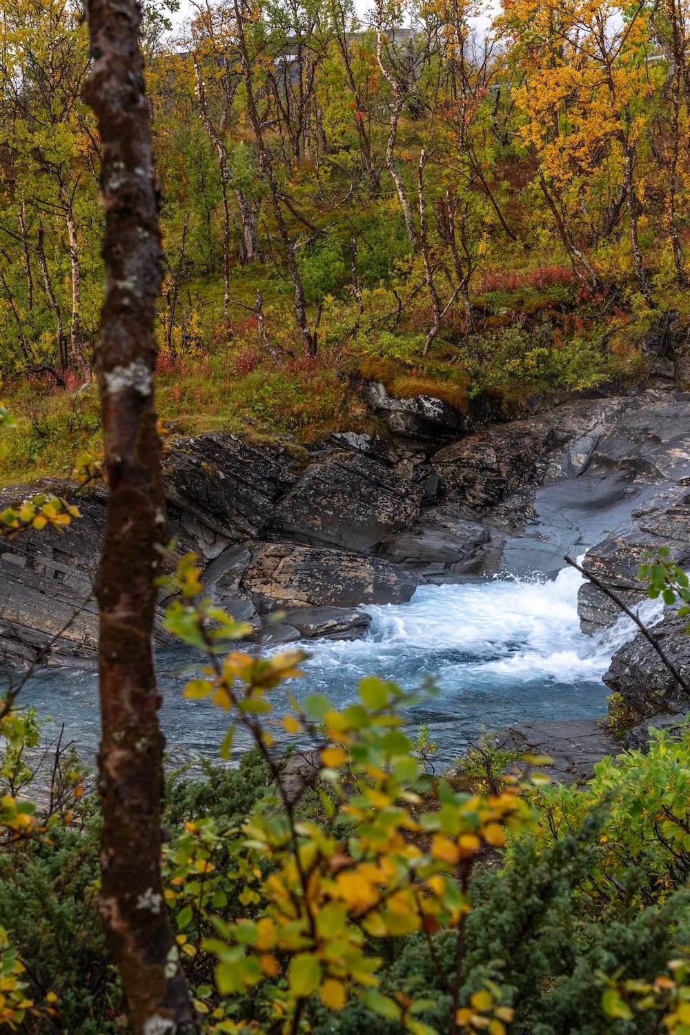 Silverfallet Waterfall Near Abisko, Sweden-23