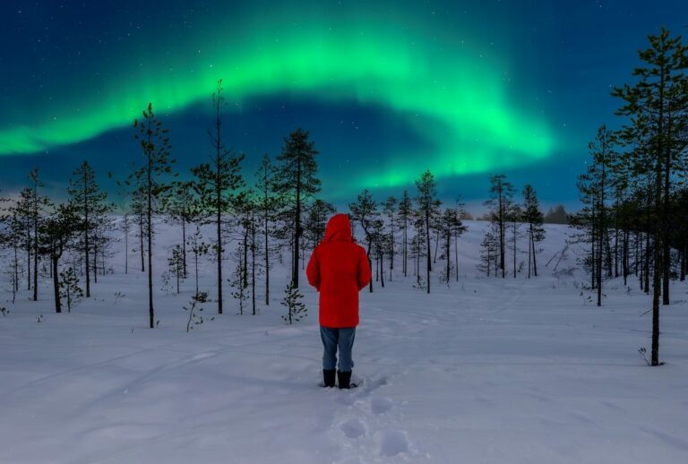 Rovaniemi in December | Things to Do + Expectations