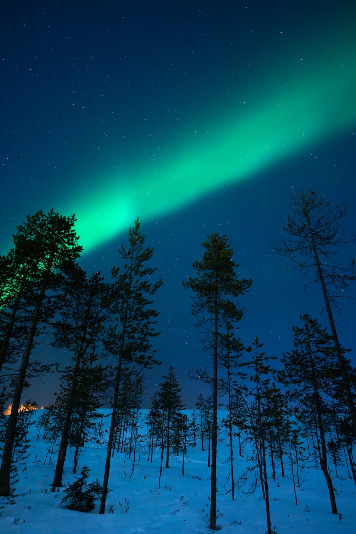 Northern lights in January in Rovaniemi