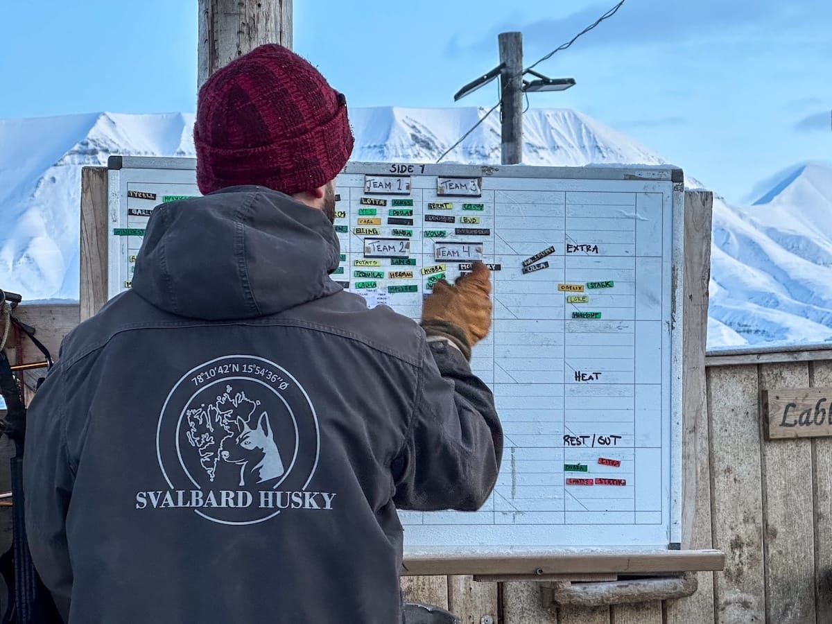 Dog-carting with Svalbard Husky-12