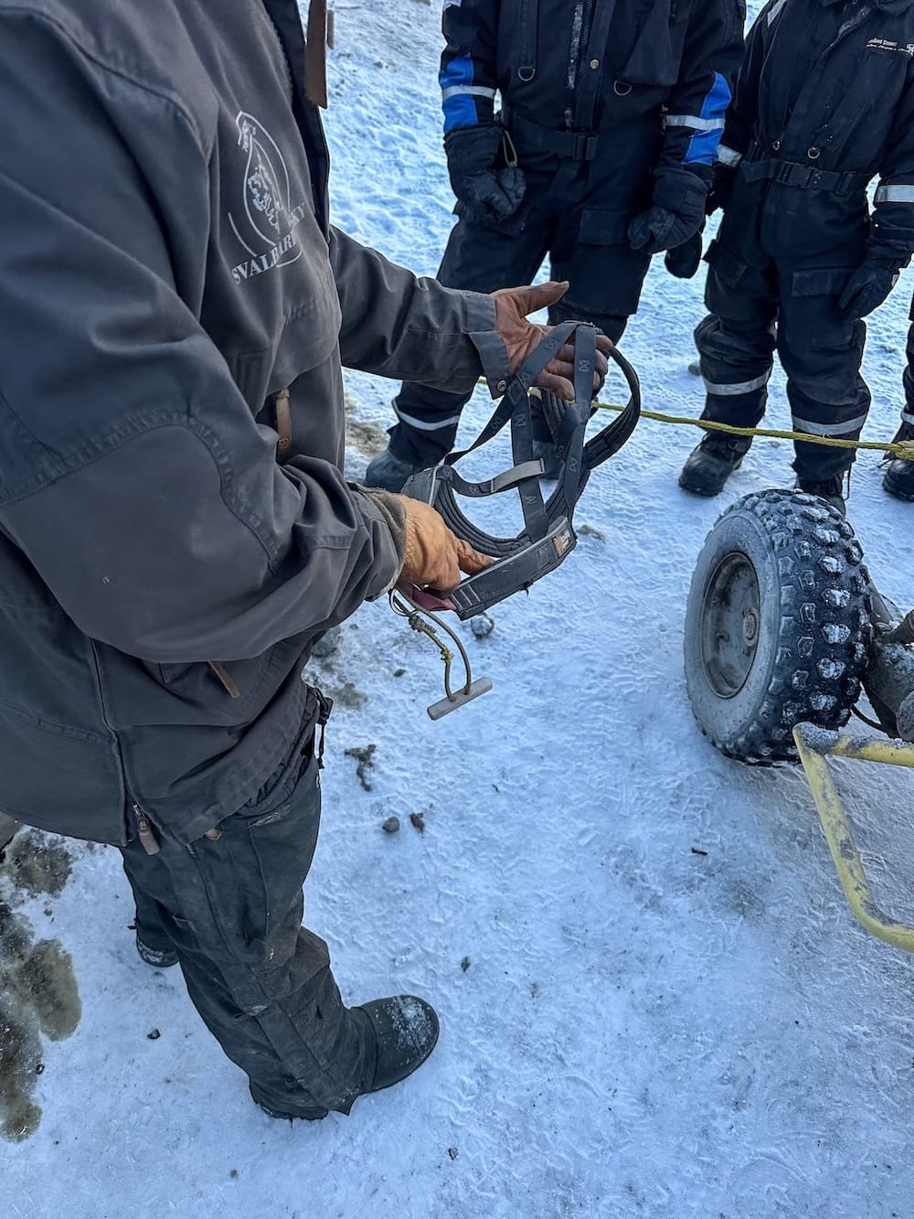 Dog-carting with Svalbard Husky-13