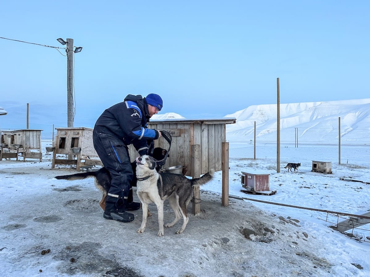 Dog-carting with Svalbard Husky-14