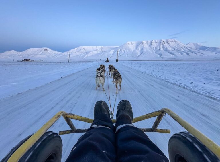 Dog-carting in Svalbard with Svalbard Husky