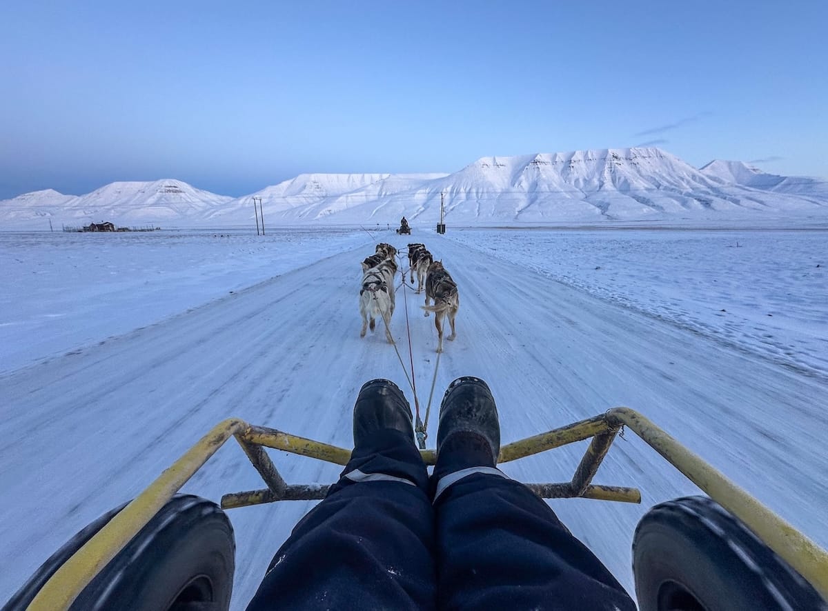 Dog-carting in Svalbard with Svalbard Husky