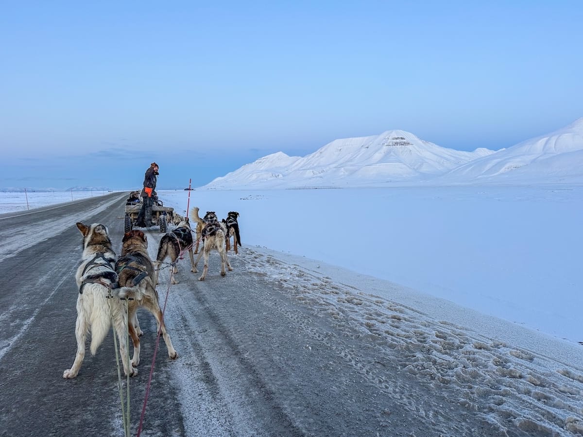 Dog-carting with Svalbard Husky-18