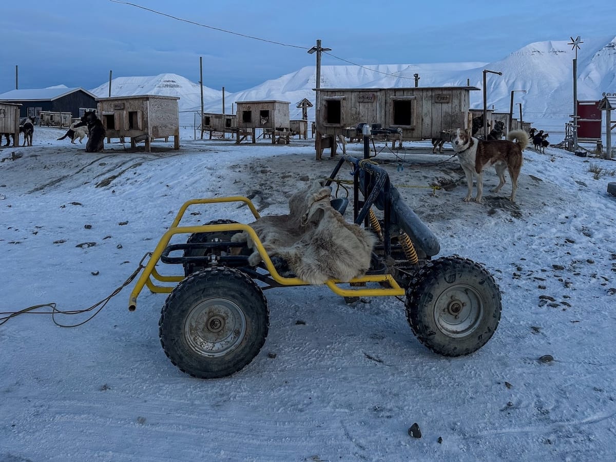 Dog-carting with Svalbard Husky-7