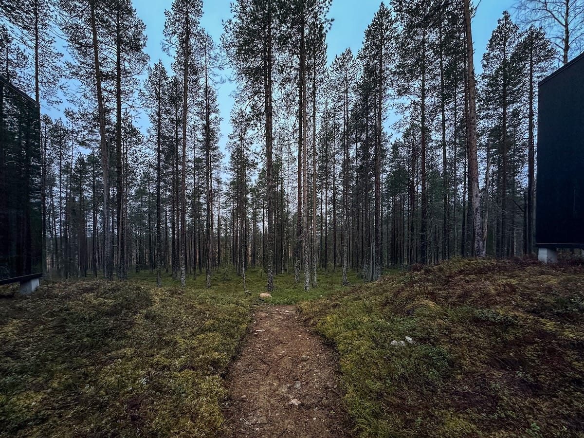 a small trail between cabins in a finnish forest