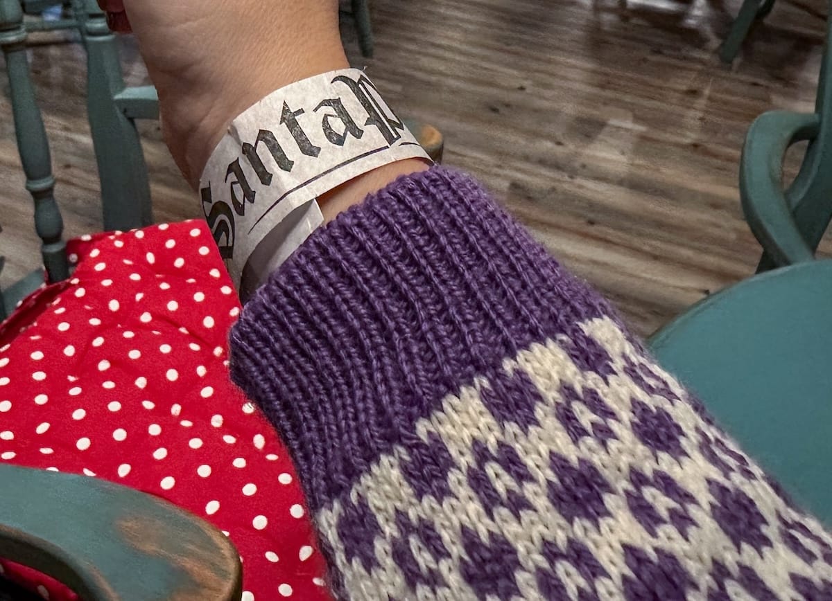wristband for santapark on a woman's arm