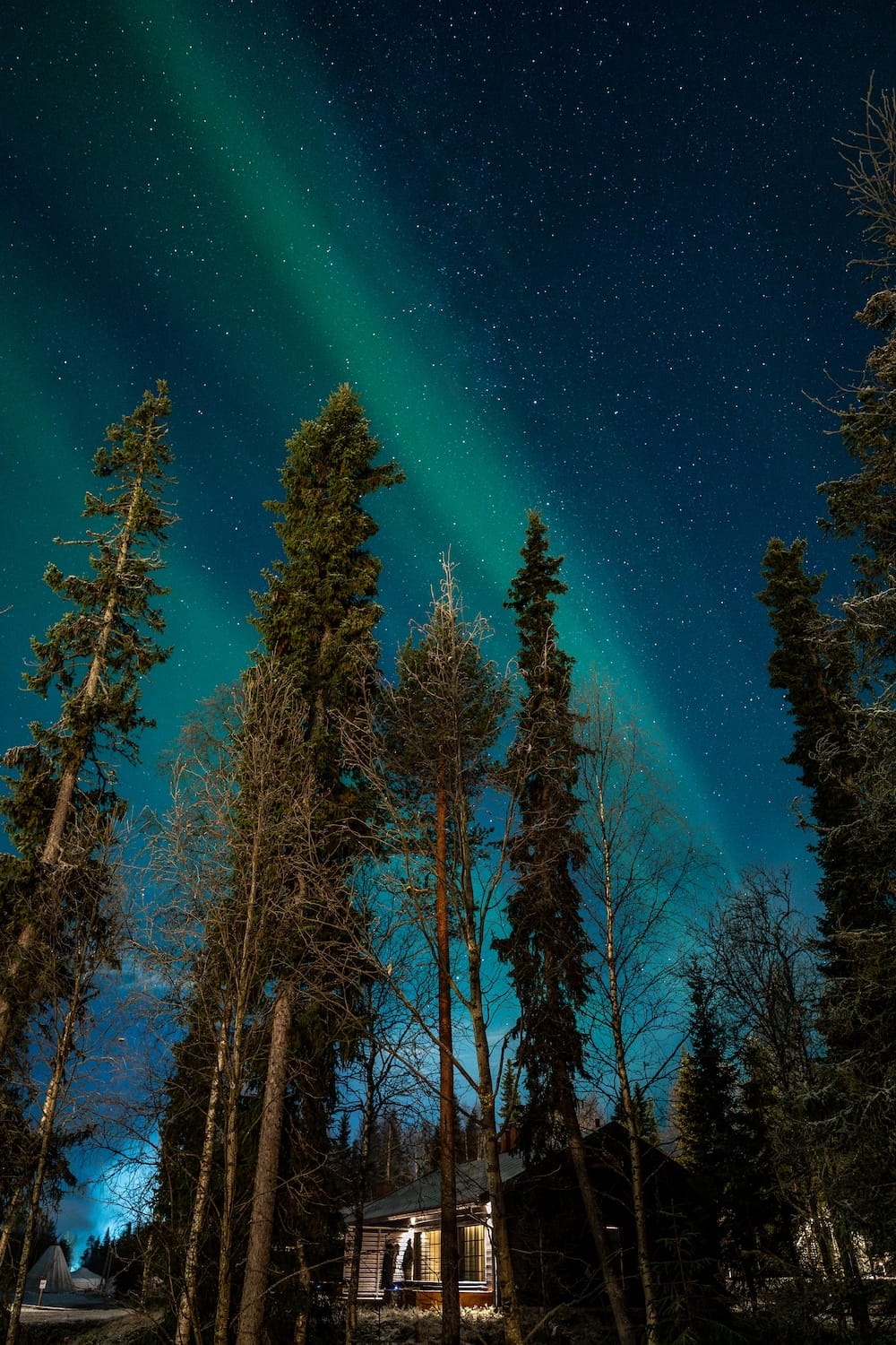Northern lights at Vaattunki Wilderness Resort