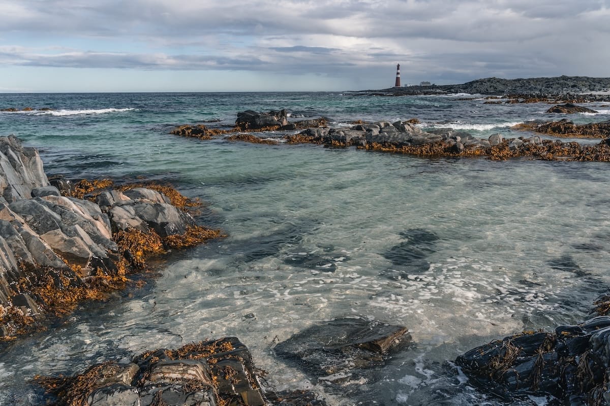 This is from a hiking trail at Slettnes Fyr - you can make this your morning walk!