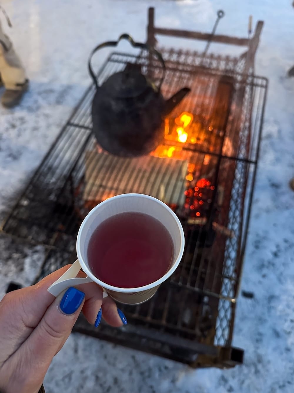 Ice karting in Rovaniemi | Santa's Motor Park
A cup of pink juice by a fire outside in a woman's hand