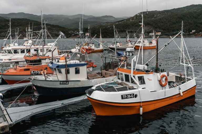 Welcome to Skjånes, on Norway's Nordkyn Peninsula