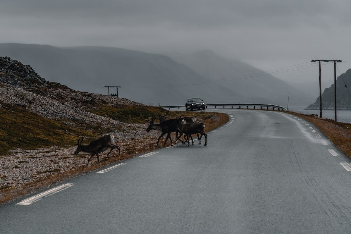 Skjånes, Norway-4
