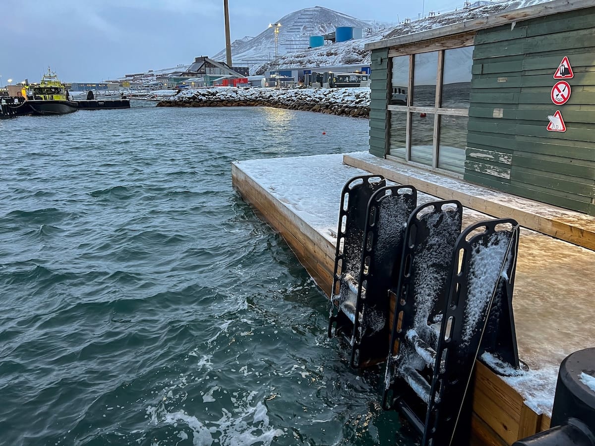 Visiting Svalbad Sauna in Svalbard
____
a green building with two ladders going into the sea