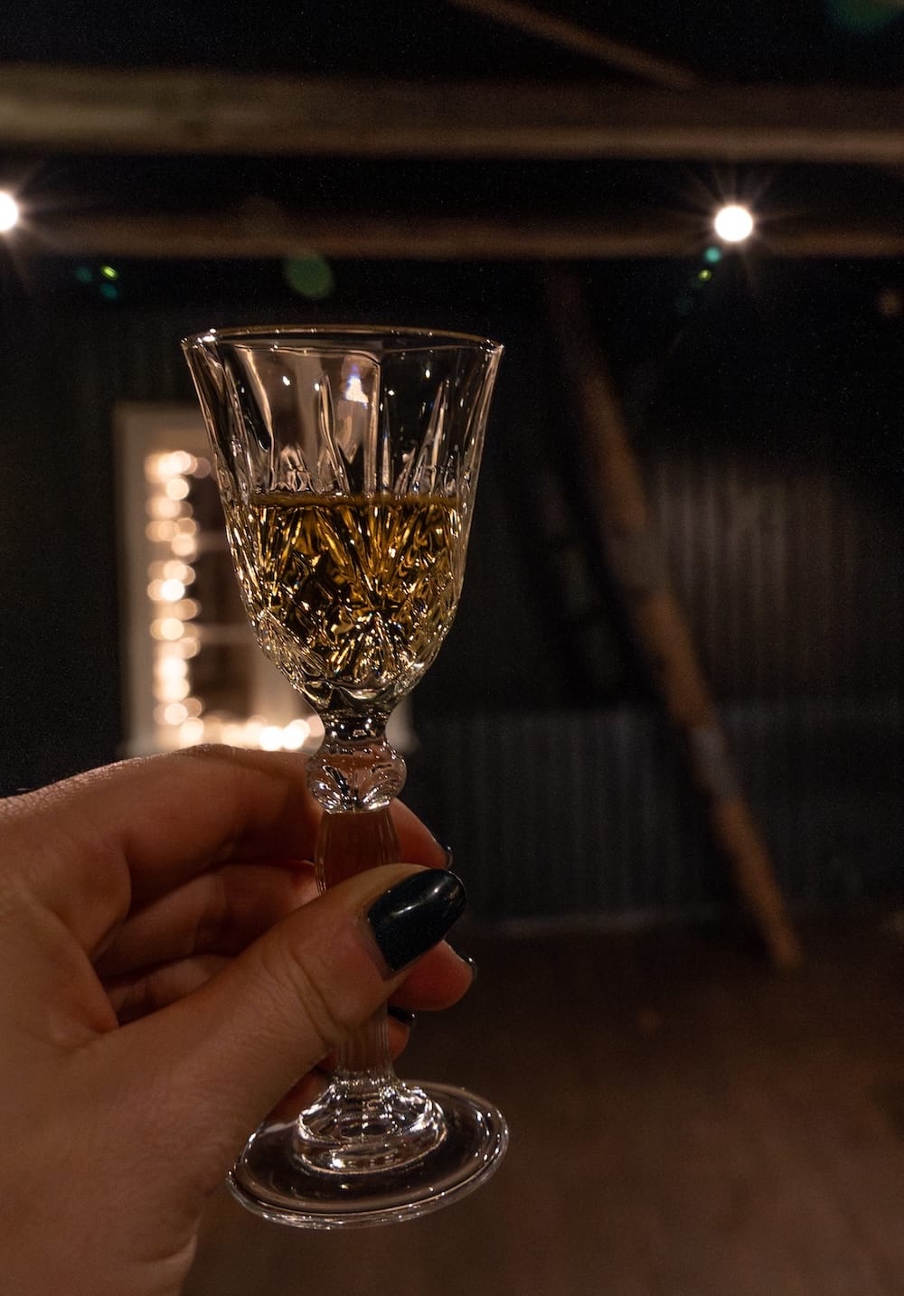My fragrance tour at Fischersund in Reykjavík
_____
a woman's hand holding a glass of icelandic schnapps