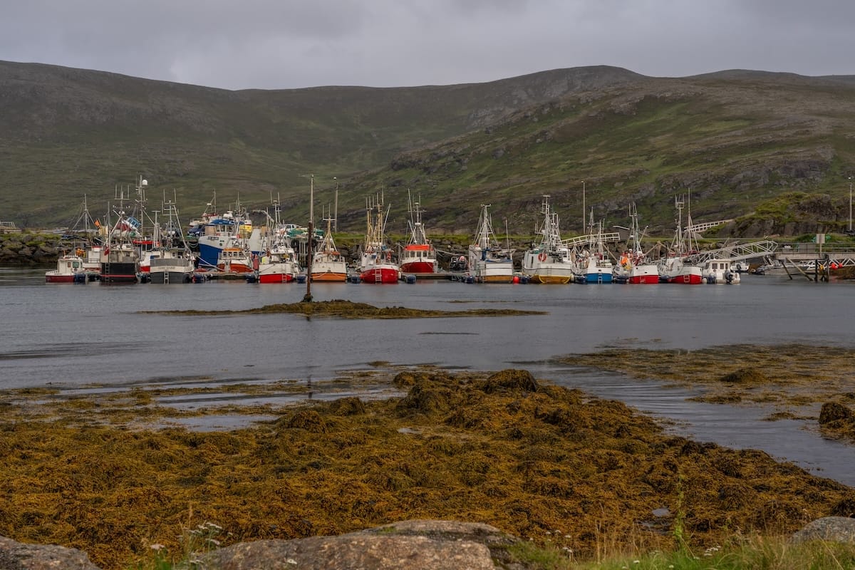 Where to Stay at the North Cape in Norway (+ Honningsvåg)
A fishing harbor in the village of Skarsvåg - a lot of boats and a small hill in the background