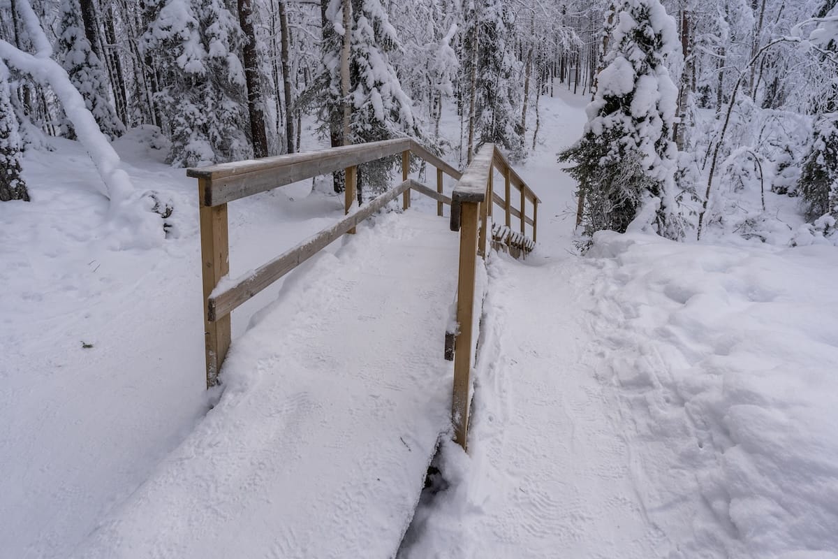 staircase in a snowy forest