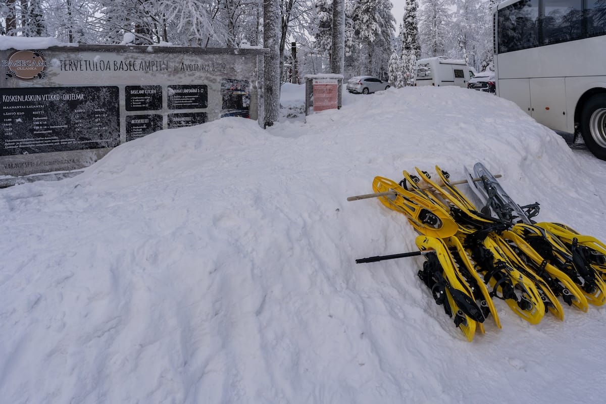 snowshoes on a group in a snowy area of finland