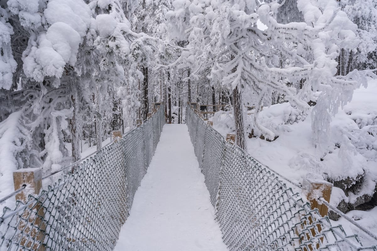 A snowy hanging bridge