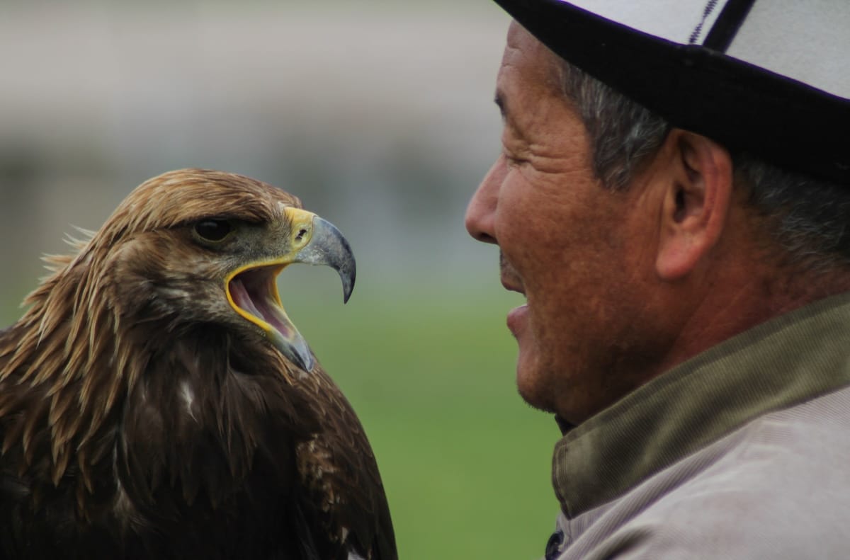a man with an eagle in kyrgyzstan