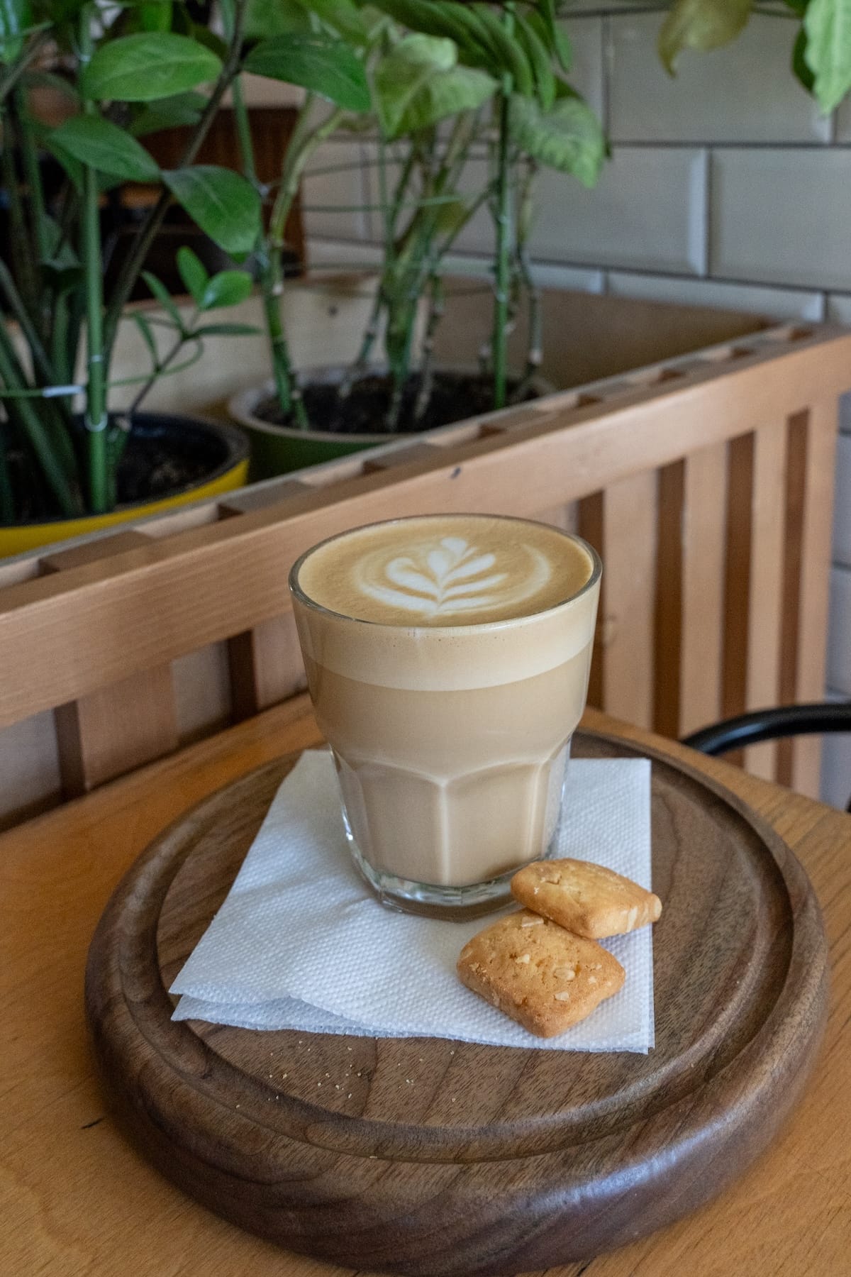 a coffee on a table with a plant behind it and cookies on the saucer