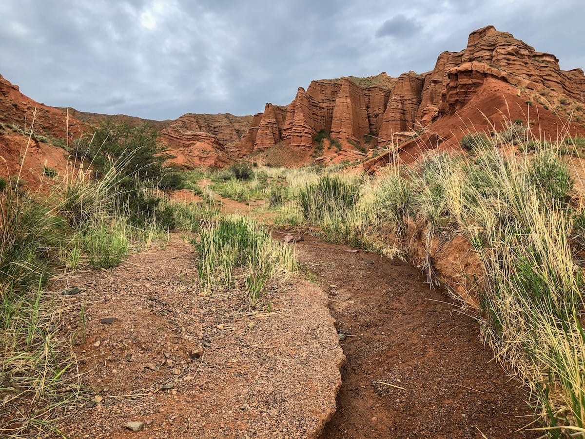 a red canyon with some dried out greenery