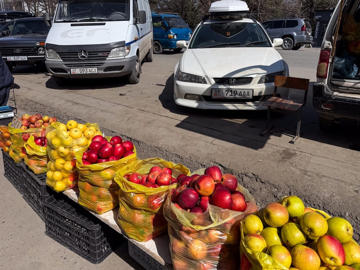 apples in bags on the ground
