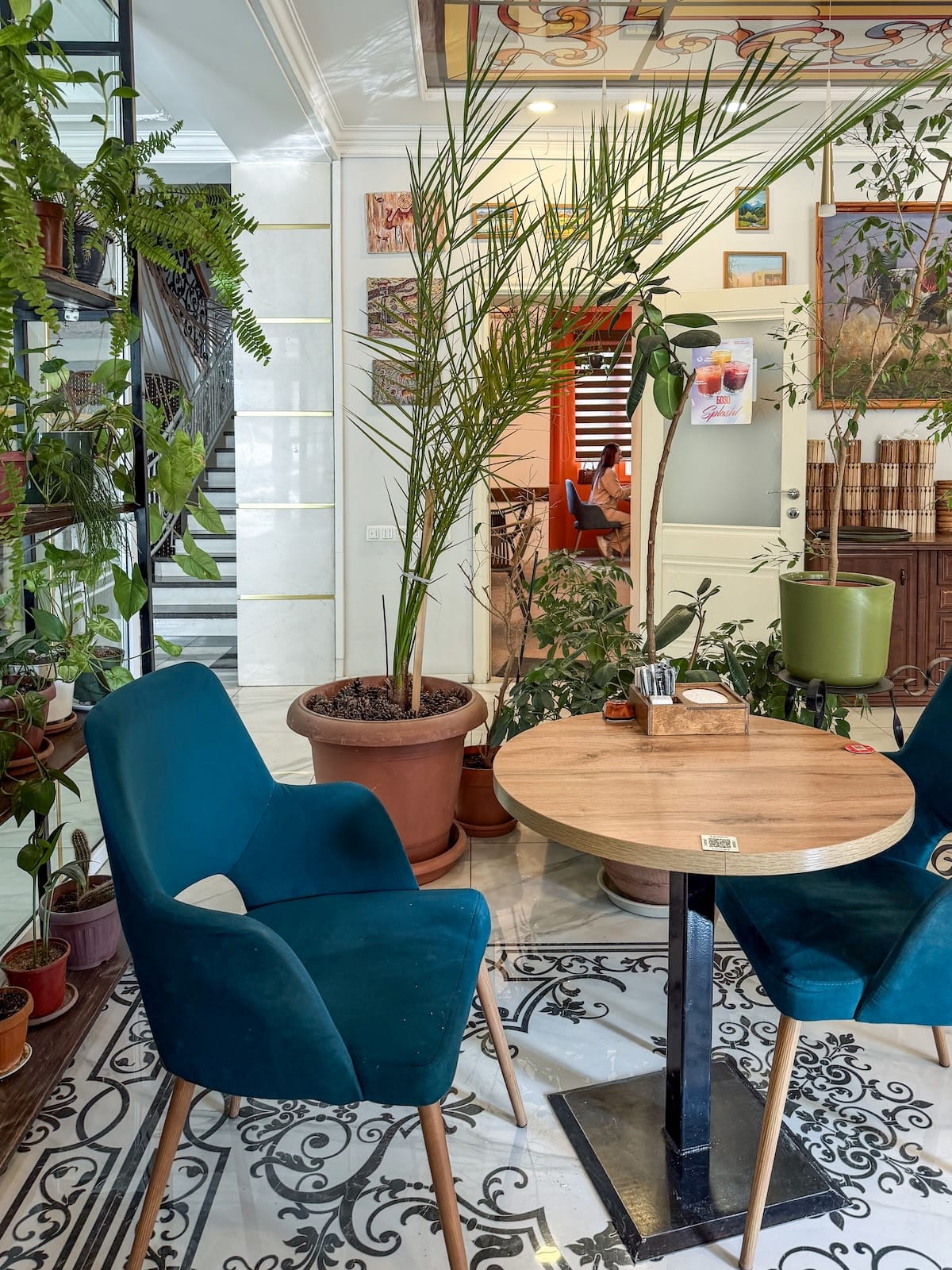 a cafe with blue chairs and a lot of plants