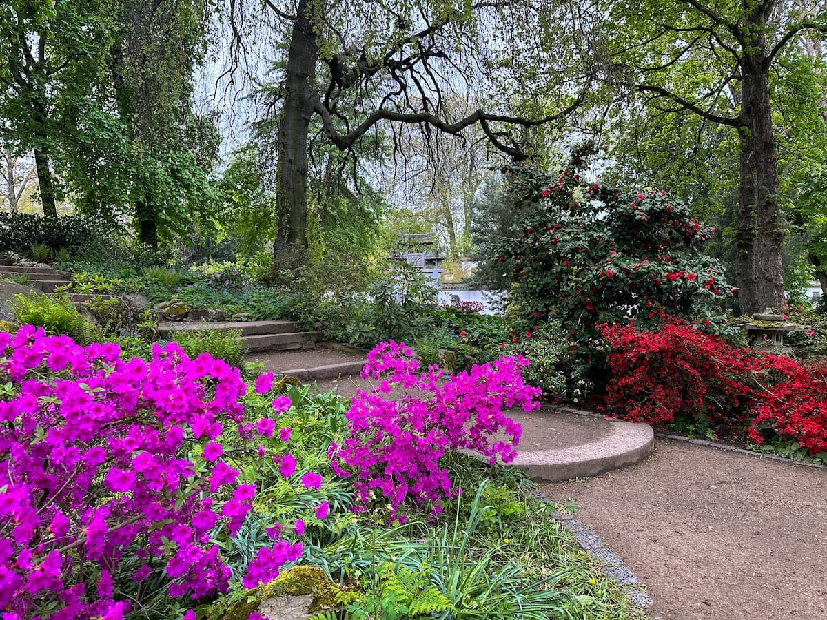 a park in bloom in germany