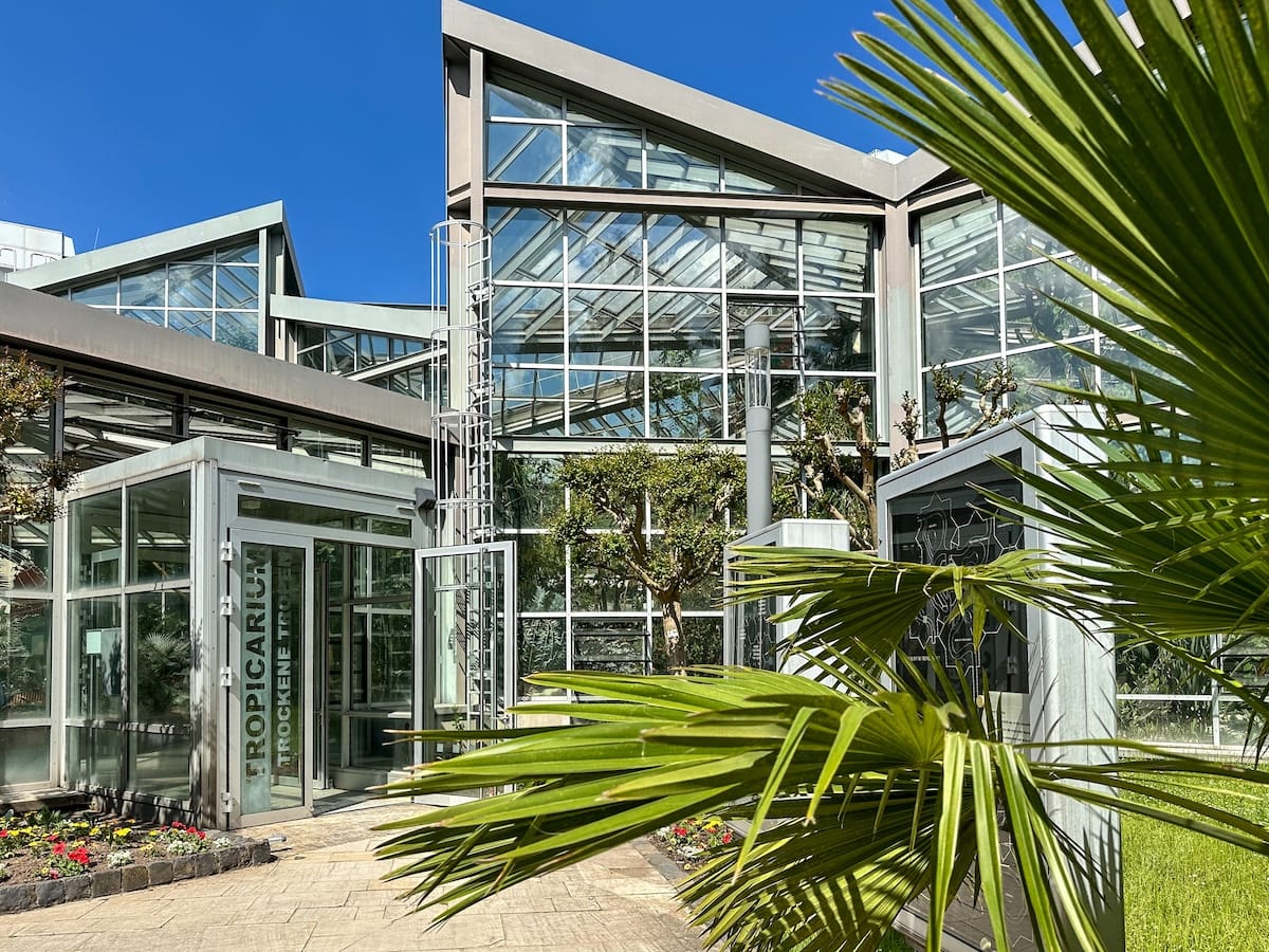 a greenhouse with a palm tree and blue sky