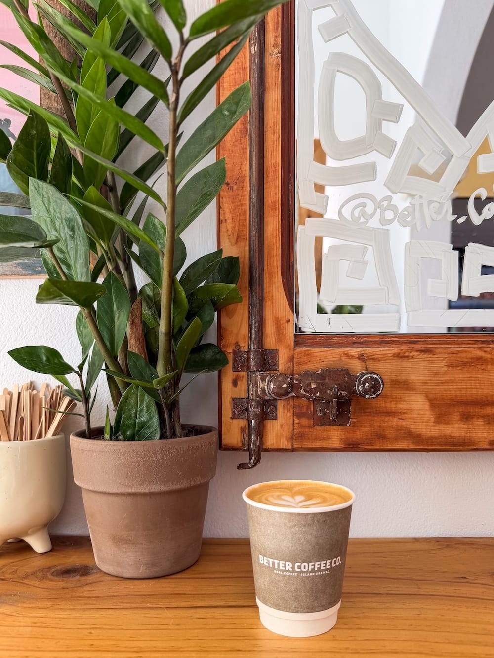 a coffee in a paper cup in front of a mirror with a plant to the side