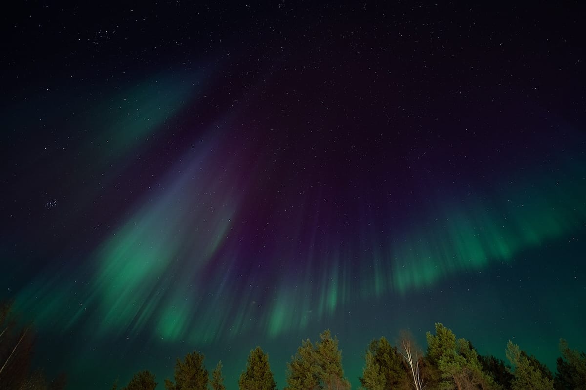 a colorful display of northern lights over the trees in finnish lapland
