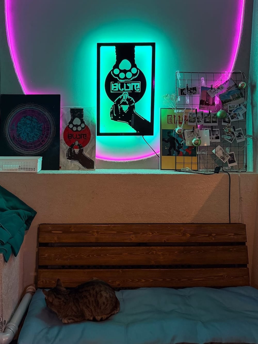 the inside of a small coffee shop with neon lights and a cat sleeping on bench