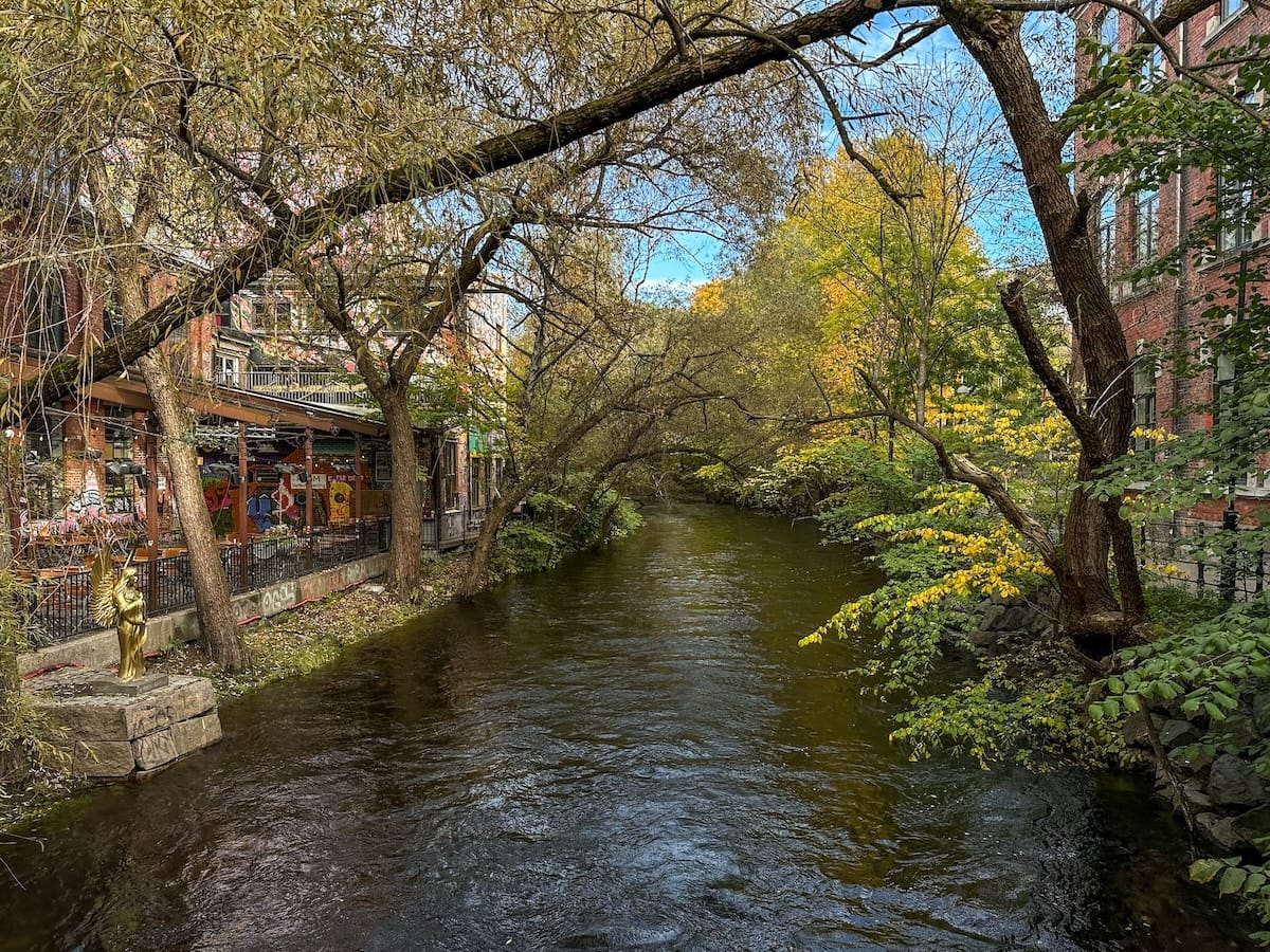 a river with trees of autumn colors hanging over it