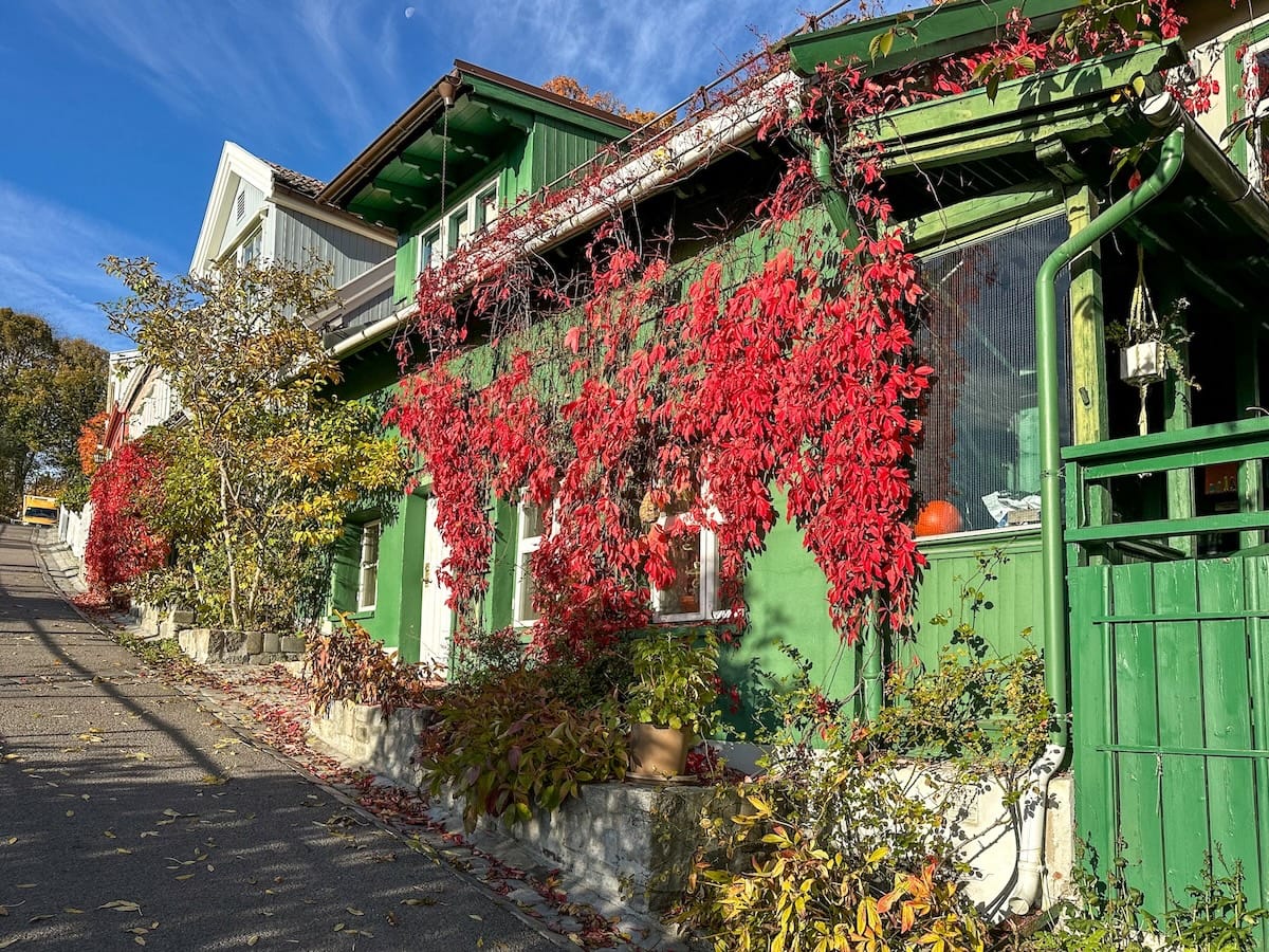 a street scene in oslo with a green house and red fall foliage outside

Oslo in autumn travel guide