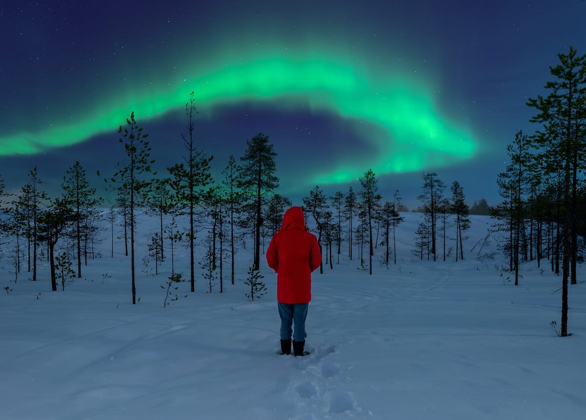a man in a red jacket under the aurora in a forest