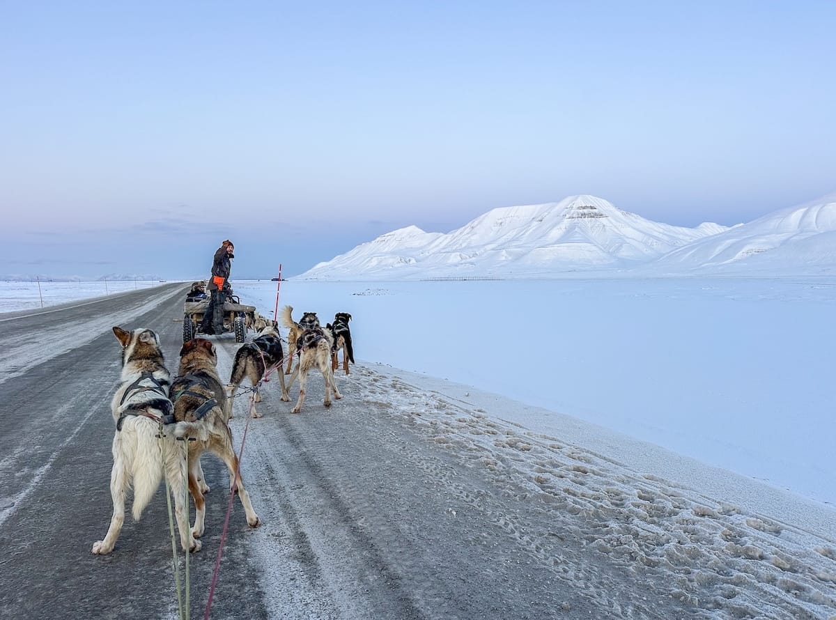 a team of dogs on an adventure tour in svalbard with snowy landscapes